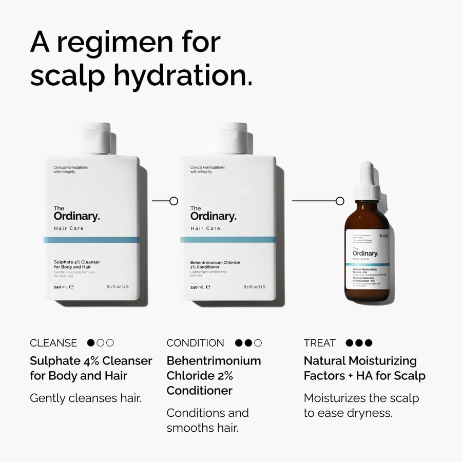 natural-moisturizing-factors-ha-for-scalp-t2 FY25-D41247-ORD-Web-PDP-NMF-HA-Scalp-1x1-EN-5.jpg