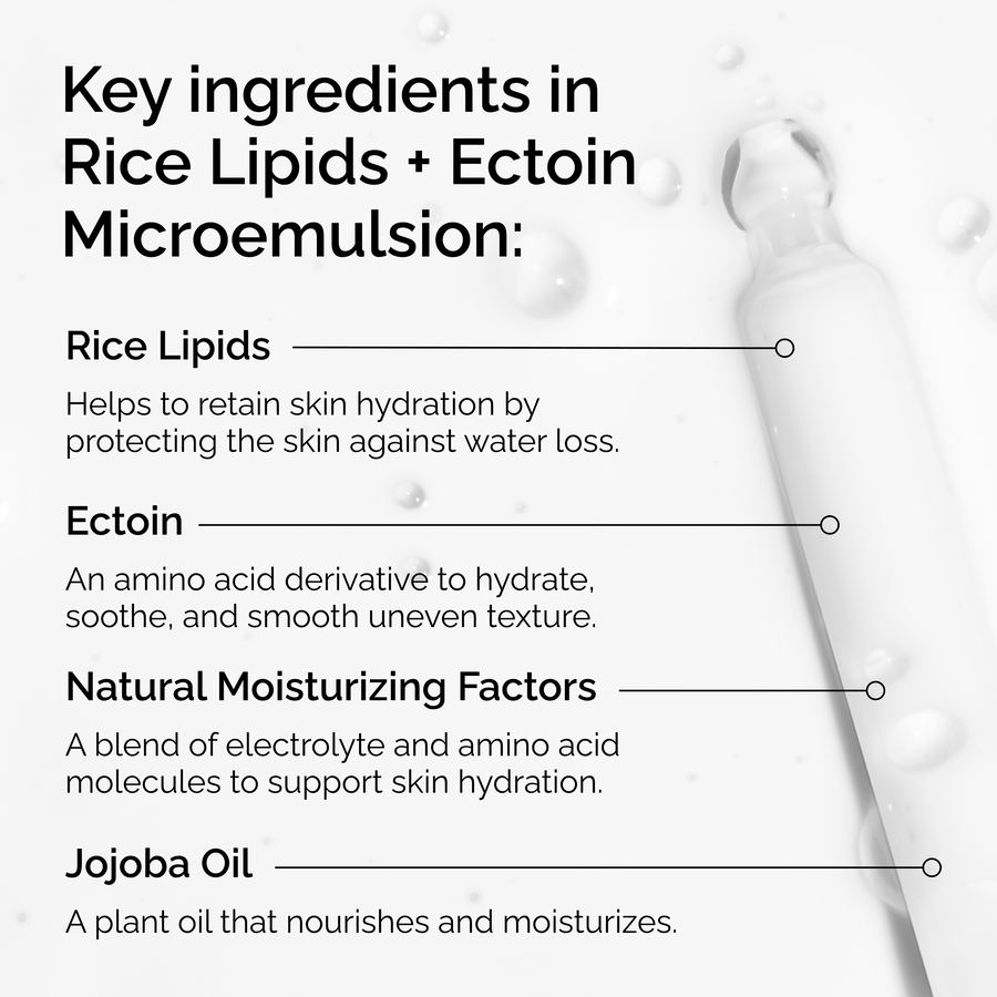 rice-lipids-ectoin-microemulsion-a0 ord-rice-lipids-ectoin-microemulsion-key-ingredients.png