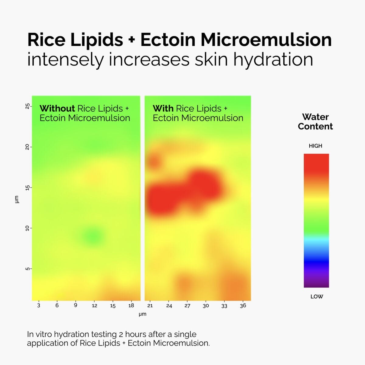 rice-lipids-ectoin-microemulsion-a0 ord-rice-lipids-ectoin-microemulsion-thermal-before-after.jpg